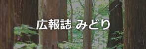 広報誌みどり