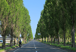 ippan_kasaku_2025_004