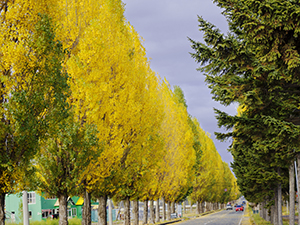  ippan_kasaku_2025_067