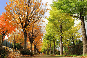 ippan_kasaku_2025_078