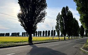 ippan_kasaku_2025_103