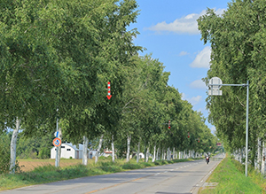 ippan_nyusen_2025_056