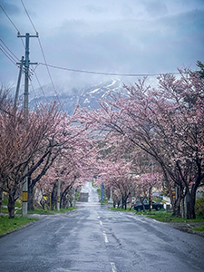 ippan_nyusen_2025_060