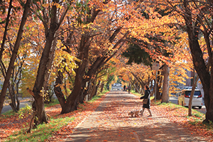 ippan_nyusen_2025_095