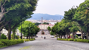 ippan_nyusen_2025_100